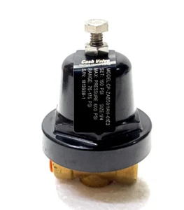 Cash Valve CP 1/4 Regulator Range 75-175 PSI / Pressure 600 PSI #NEW - Picture 1 of 12