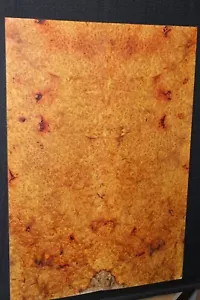 Tapa de guitarra Amboyna Burl Book a juego. Alijo personal, impresionante conjunto. - Imagen 1 de 8