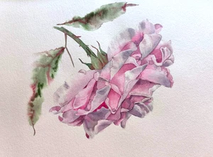 Original GICLEE Artistic Print Painting Flowers PINK ROSE Floral Wall Artwork A4 - Picture 1 of 15