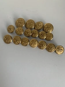 Vintage Gold Tone Lion Crest Metal Blazer Button Set Shank Back 17 Total - Picture 1 of 8