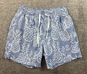 Chubbies Swim Trunks Mens Large Blue 5.5" Inseam Pineapple Print Mesh - Picture 1 of 5