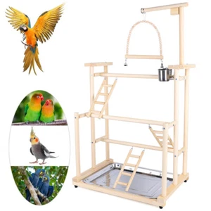 Pet Parrot Playstand Parrots Bird Playground Bird Play Stand Wood Perch Gym Play - Picture 1 of 10