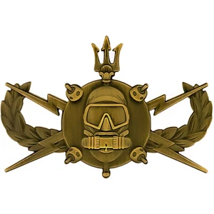 Hazardous Devices Technician HDT "Bomb Squad" Diver uniform 3D antique gold pin - Picture 1 of 2