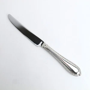 Powerscourt (Glossy) by Waterford 18/10 Stainless 9 5/8" Dinner Knife(s) No Mono - Picture 1 of 5