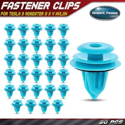 30 clips de retención de moldura de nailon y puerta levadiza de panel de ajuste de nailon de 8,5 mm x 9 mm para Tesla 3 Foto 1 de 4