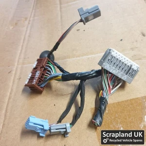 RENAULT TWINGO DYNAMIQUE Mk3 2015-2023 Tallos Colas Conector Cableado Telares - Imagen 1 de 4