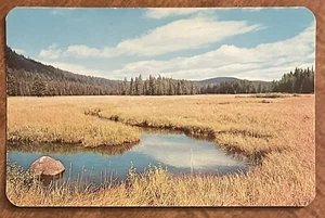 Packer Meadows - Near Lolo Pass, Idaho ID, Vintage Chrome Postcard - Picture 1 of 2