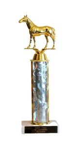 HORSE, HORSE TROPHY, RACING , HORSE SHOW - Picture 1 of 2