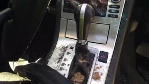 Shifter G35 2005 Transmission Shift 29124004 - Picture 1 of 9
