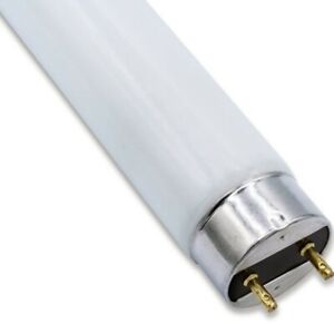 GE 38199 Cool White 18W Straight Linear T8 Fluorescent Light Bulb (Pack of 12)