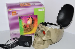 Gemmy Eerie Illusions Flaming Skull Prop Lighted Fire Halloween Decor - Works - Bild 1 von 12