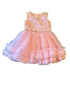 Disney Princess Aurora Dress Pink Embroidered Tulle With Ruffles Size 4 For Girl - Picture 1 of 6