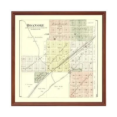 Old Map of Roanoke, IL 1893 - Vintage Roanoke Illinois Art - Image 1 of 4