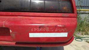 Adesivo Posteriore "TRANS AM" Pontiac 1982-1992 Bianco su base trasparente NUOVO - Imagen 1 de 2