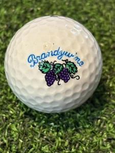 Brandywine Country Club Logo Golf Ball- Peninsula Ohio OH - Picture 1 of 1