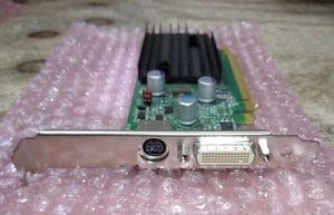 NVIDIA GeForce 9300 0K192G P805 Graphics Card 256MB PCI-e Video DVI S-Video - Picture 1 of 5