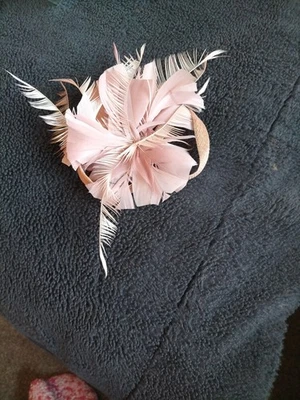 Corsage Feather Brooch. - Image 1 of 4
