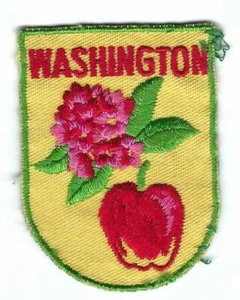 Parche de recuerdo del estado de Washington - 2x2,5 in EonT - C7523 - ENVÍO GRATUITO - Imagen 1 de 1
