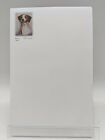 New Brittany Pet Dog Note Pad Set 10 Note Pads Ruth Maystead BRT-3
