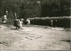 MADAGASCAR c. 1900 - Travaux des Champs Afrique - AfP 108 - Picture 1 of 1