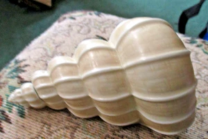 LENOX SEA SAND & SKY COLLECTION Wentletrap Shell Trinket Box - Picture 1 of 4