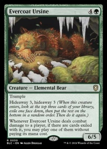 MTG - EVERCOAT URSINE - Bloomburrow Commander (R) - Picture 1 of 1