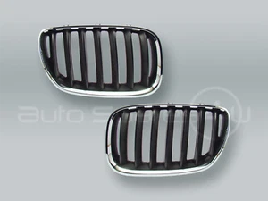 Par de rejillas de capó delantero cromadas/negras para BMW X5 E53 2005-2006 - Imagen 1 de 2