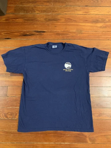 Georgia Southern University Eagles Comfort Colors Tee Size Large Unisex Cover
