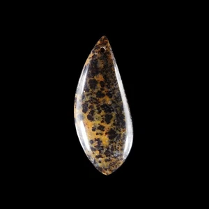 Petrified Wood Opal BEAD 55x22x6 mm HB306149 - Picture 1 of 4