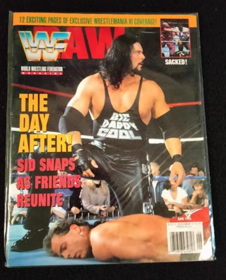 WWF RAW MAGAZINE JUNE 1995 KEVIN NASH SHAWN MICHAELS BRET HART POSTER + CARDS - Image 1 of 2