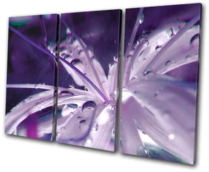 Floral Blumen BOTANISCHE DREIBEIN LEINWAND WANDBILD Bild Druck VA - Bild 1 von 1