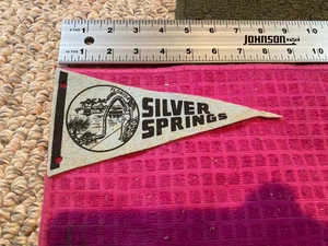 Pennant VINTAGE Silver Springs FL FONDO VETRO BARCA bellezza da bagno - SPEDIZIONE VELOCE - Foto 1 di 4