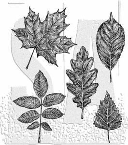 Tim Holtz Stampers Anonymous Stamp Set- Sketchy Leaves - Picture 1 of 1