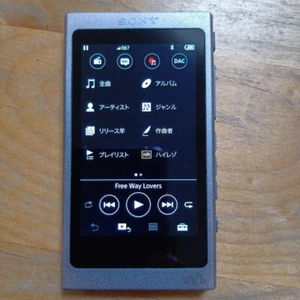 Sony NW-A45 Walkman Digital Music Player Audio 16GB Grayish Black Hi-Res Tested - Picture 1 of 10