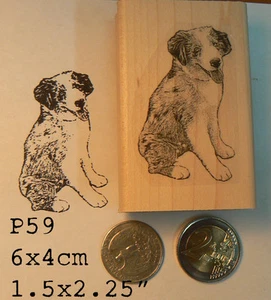 P59 Australian shepherd dog rubber stamp WM - Picture 1 of 2