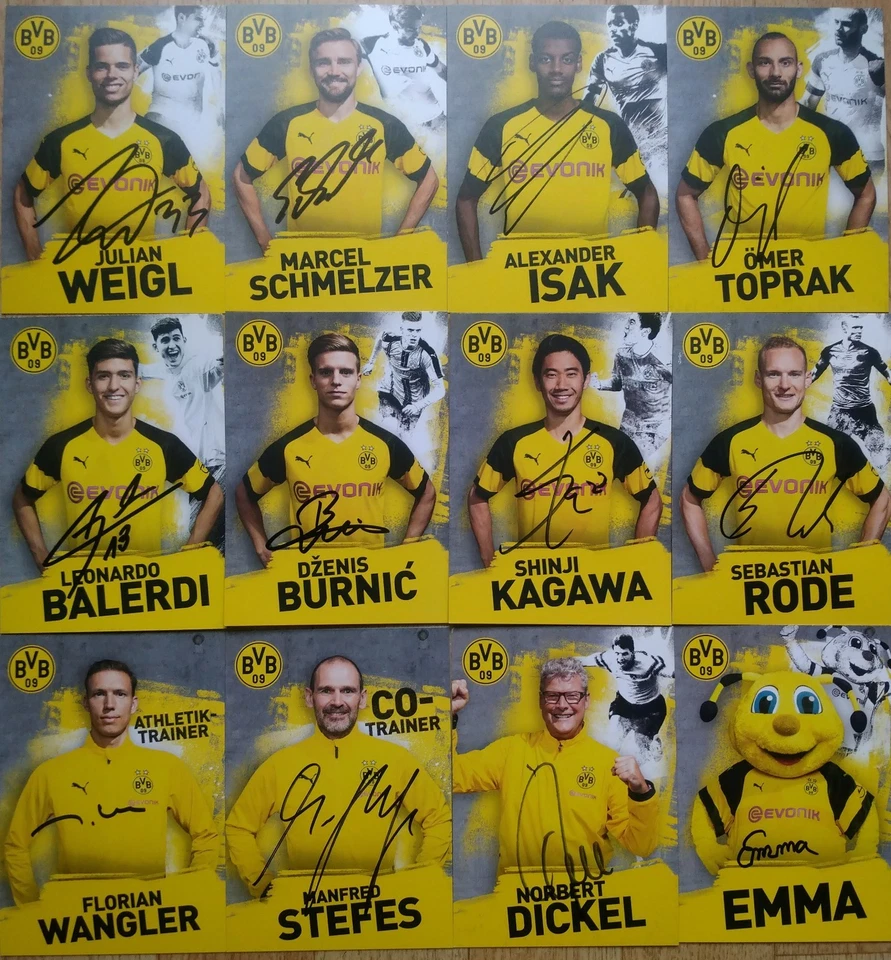 Borussia Dortmund 2018/19 original handsignierte Autogrammkarten  BVB 09 - Bild 1 von 1