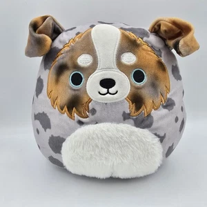 Squishmallows RAYLOR Pastor Australiano Peluche Perro 8" Pulgadas Kellytoy 2021 - Imagen 1 de 8