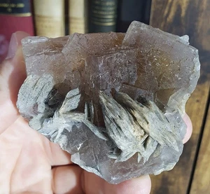 Fluorine & Baryte, Chaillac Mines, Le Blanc, Indre (36), France - Picture 1 of 3