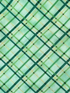 St. Paddy’s Cheer By QT Fabrics Fat Eighth 9x21 - Picture 1 of 1