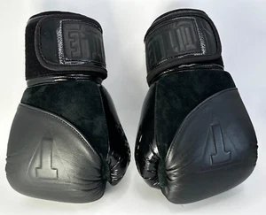 π₯ TITLE BLACK Blitz Fit 14 oz Boxing Gloves β Great Condition π€ - Picture 1 of 6