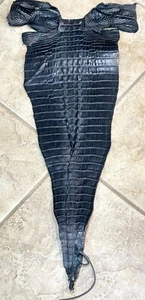 Genuine American Alligator Hide Black Hornback Tail Craft 0084-E3 - Picture 1 of 11