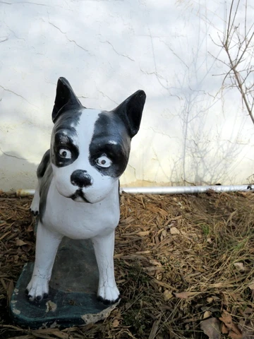LIFE SIZE BOSTON TERRIER DOG VINTAGE CEMENT/CONCRETE GARDEN STATUE BIG! Cover