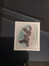 Wt3 Trade Card Cadbury’s 99 Flake Birds In Springtime - Coots Fighting