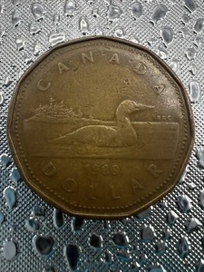 1989 Canada One Dollar Queen Elizabeth II Circulated Bronze Coin - Picture 1 of 2