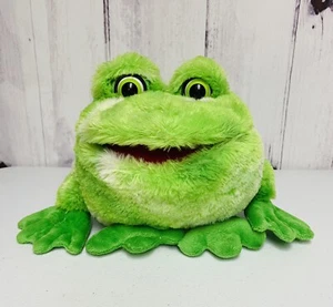 Juguete de peluche Dan Dee Frog Frog Froggy 10" hace ruido - Imagen 1 de 5