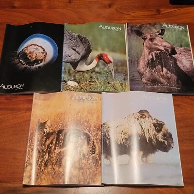 AUDUBON Magazine 1974 Lot Set Of 5 Bird & Nature Moose Coyote Bison Jellyfish - Image 1 of 4