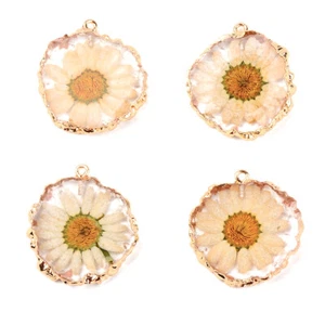 20pc Resin Flat Round Pendants Cute Dried Flower Dangle Charms Craft 33.5~35mm - Picture 1 of 3
