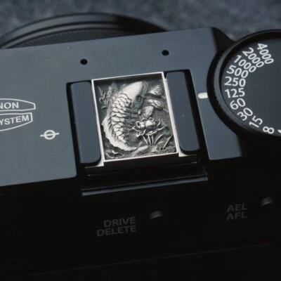 Metal Camera Hot Shoe Cover Fish Carve For Leica Sony Canon Nikon ZFC Fuji X100V - Изображение 1 из 4