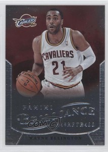 2012-13 Panini Brilliance Wayne Ellington #110