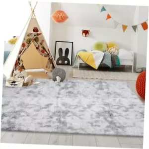 Area Rugs for Bedroom, 4x6 Feet Super Soft Fluffy Area Rugs, Thick Anti-Skid - Picture 1 of 7